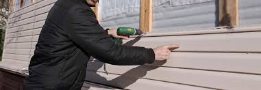 Best Siding Painting and Refinishing  in Ripley, MS